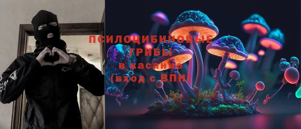прущая мука Богородск