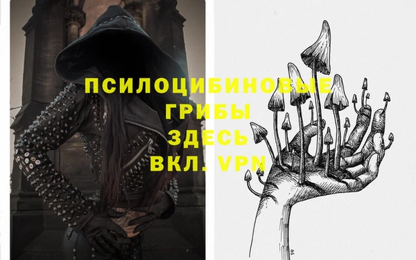 бошки Богданович