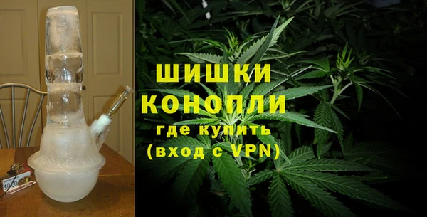 бошки Богданович